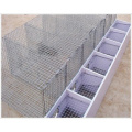 Galvanized Steel Welded Wire Mesh for Chicken Cages